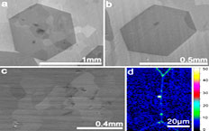 大尺寸单晶石墨烯的化学气相沉积法制备及其无损转移取得重要进展