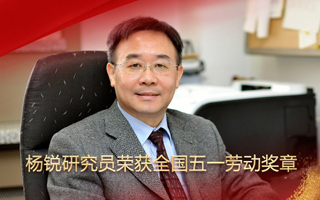 杨锐研究员荣获全国五一劳动奖章
